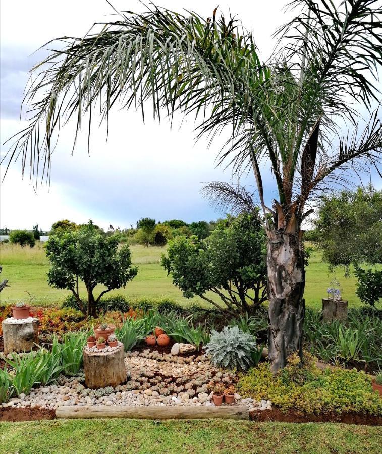 Safe Haven Guesthouse Bloemfontein Kültér fotó