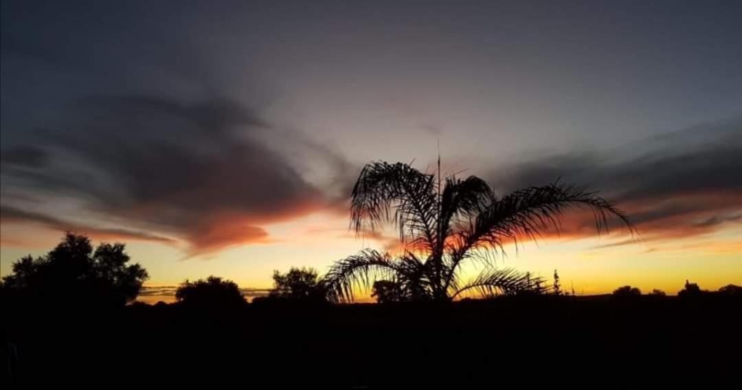 Safe Haven Guesthouse Bloemfontein Kültér fotó