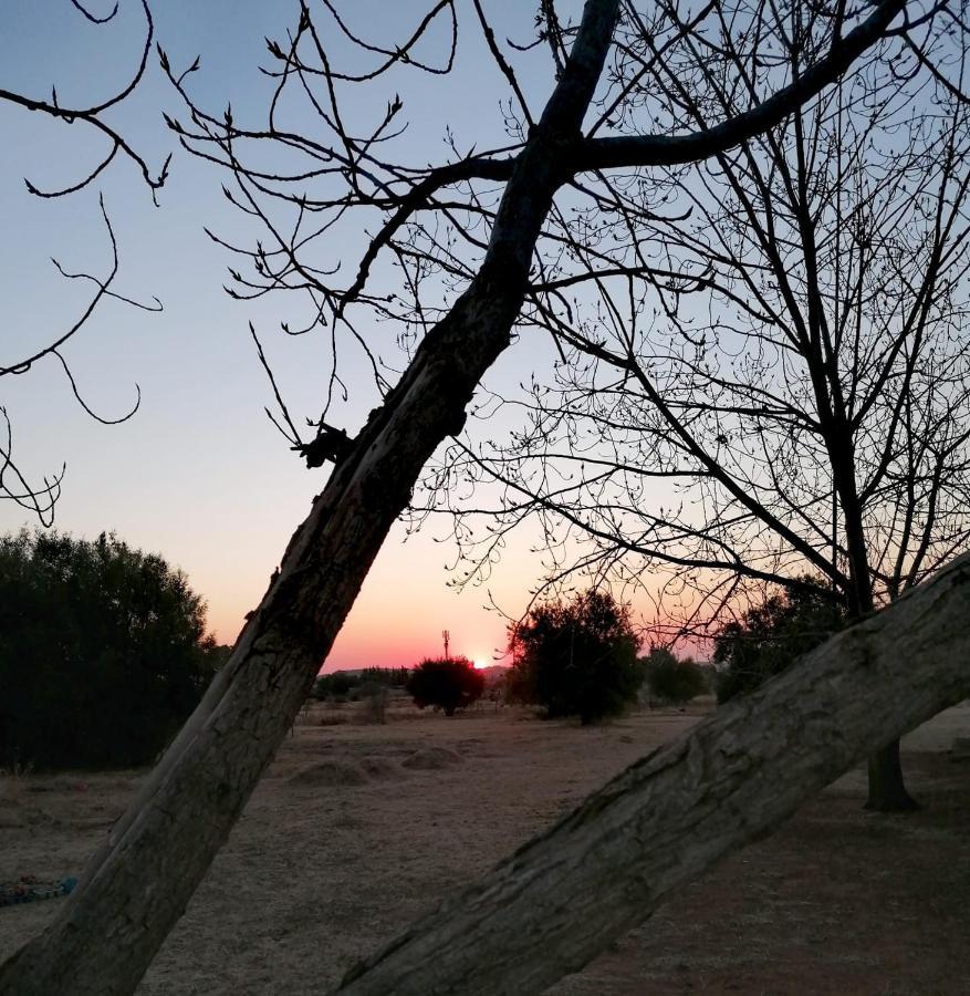 Safe Haven Guesthouse Bloemfontein Kültér fotó