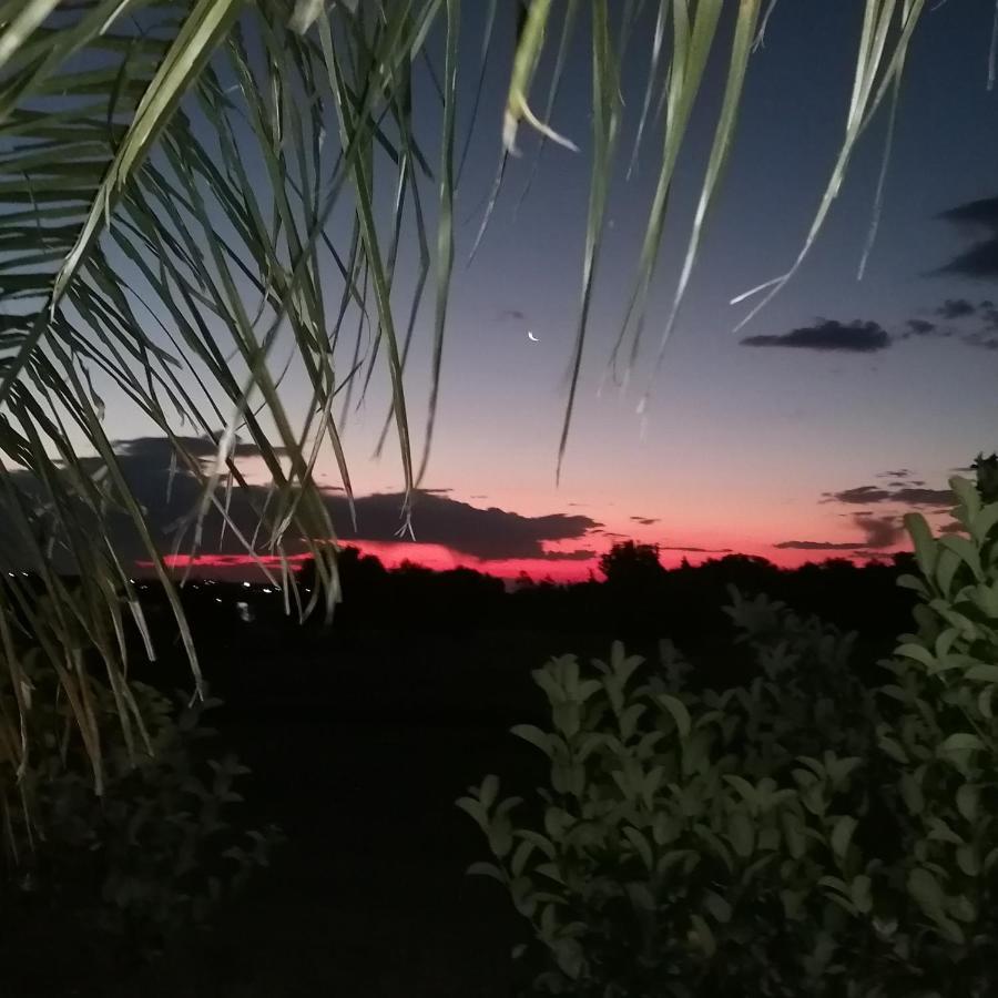 Safe Haven Guesthouse Bloemfontein Kültér fotó