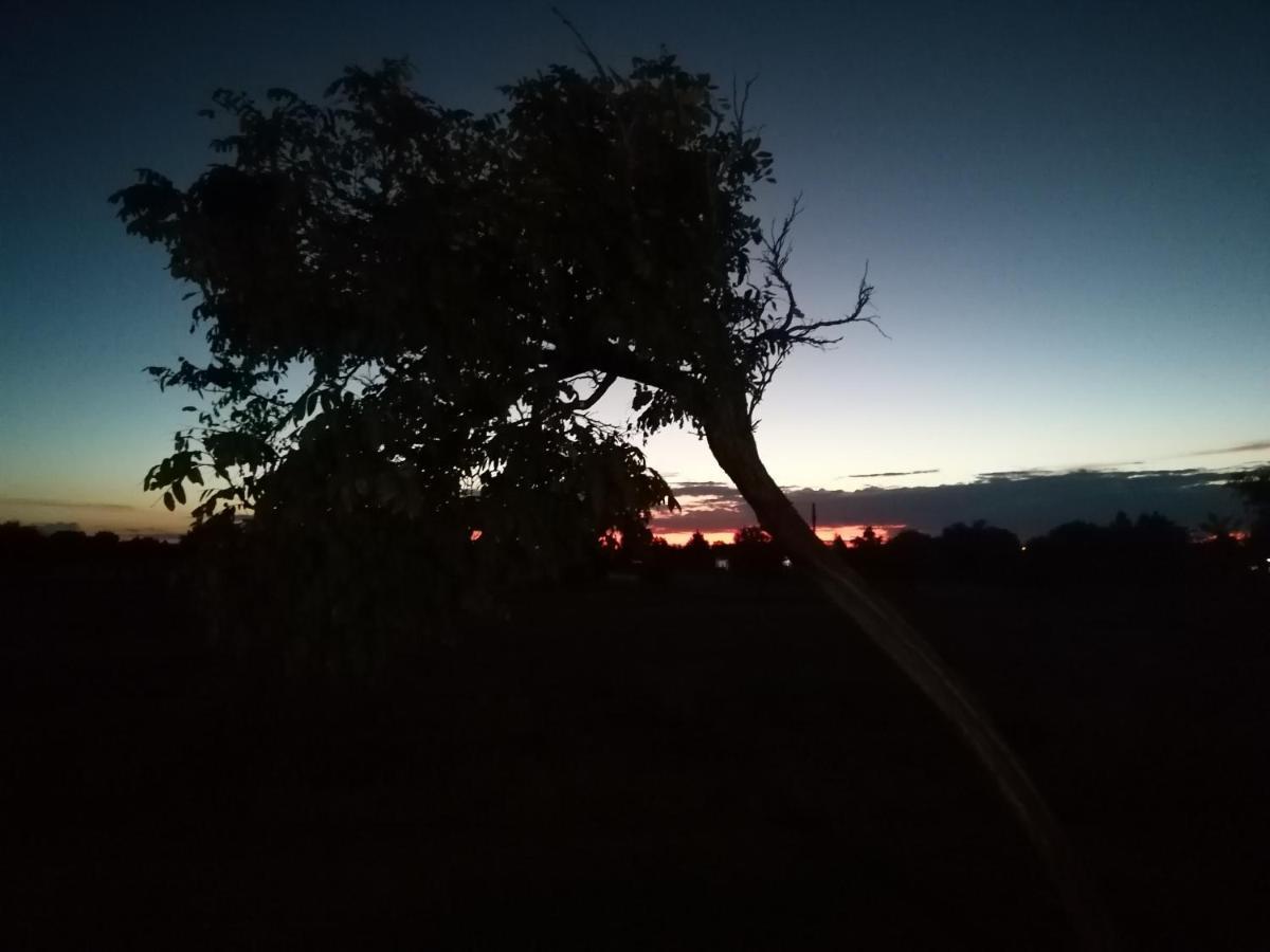 Safe Haven Guesthouse Bloemfontein Kültér fotó